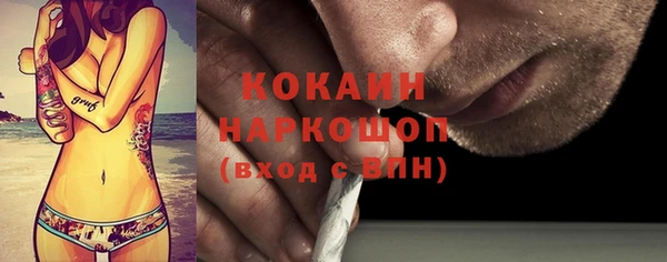 дмт Протвино