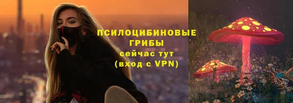 дмт Протвино